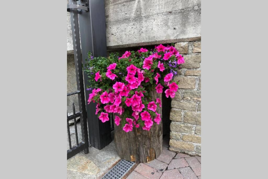 Appartamento A Due Passi Da Bormio ヴァルディソット エクステリア 写真