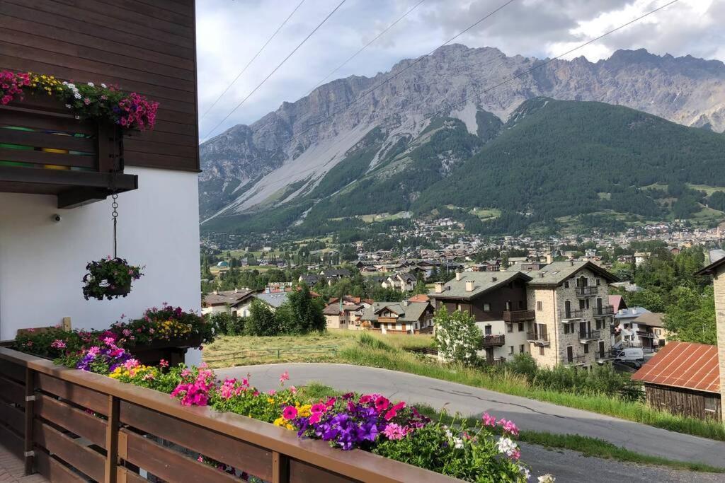 Appartamento A Due Passi Da Bormio ヴァルディソット エクステリア 写真